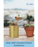 Mini Çiçek Saksı Küçük Sukulent Altın Kaktüs Saksısı 3lü Set Düz Yuvarlak Model